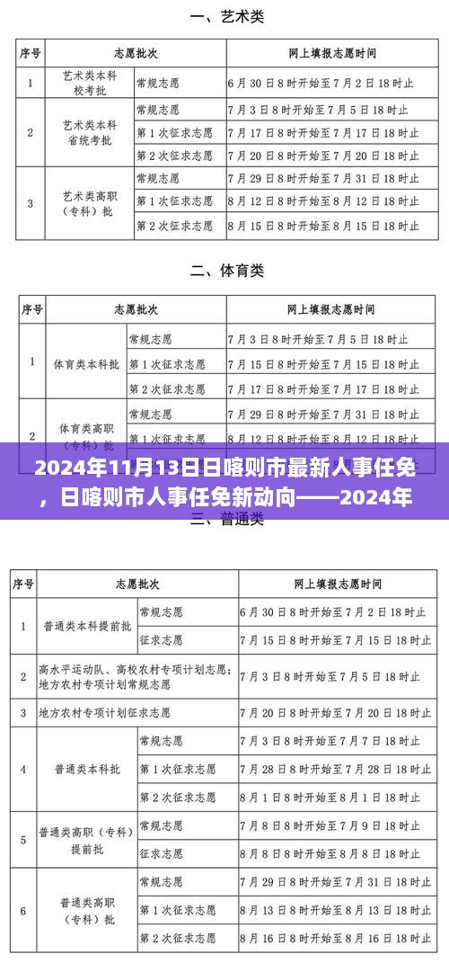 2024年11月13日日喀则市人事任免新动向解析