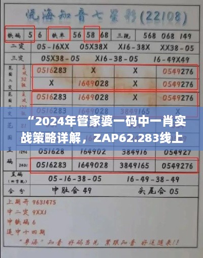 “2024年管家婆一码中一肖实战策略详解，ZAP62.283线上版本实证”