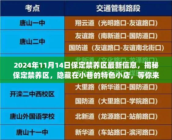 揭秘保定禁养区，2024年11月最新信息与隐藏在小巷的特色小店