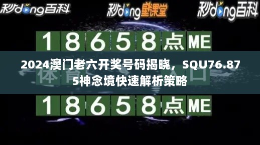 2024澳门老六开奖号码揭晓，SQU76.875神念境快速解析策略