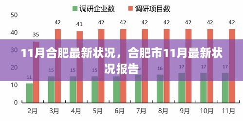 合肥市11月最新状况报告