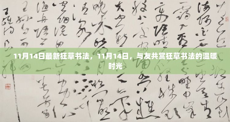 11月14日狂草书法盛宴，与友共赏温暖时光的书法艺术