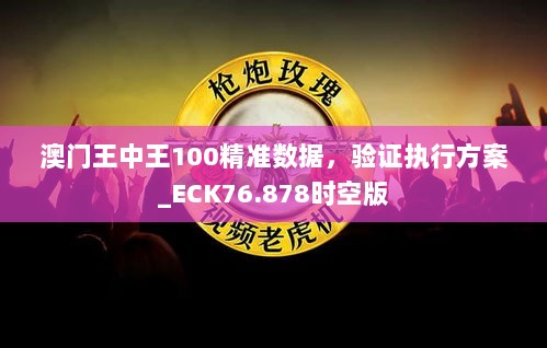 澳门王中王100精准数据，验证执行方案_ECK76.878时空版