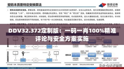 DDV32.372定制版：一码一肖100%精准评论与安全方案实施