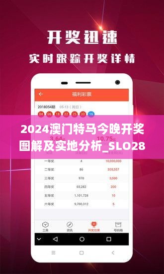 2024澳门特马今晚开奖图解及实地分析_SLO28.711奢华版