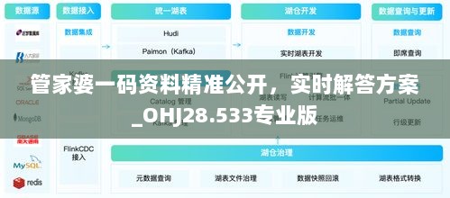 管家婆一码资料精准公开，实时解答方案_OHJ28.533专业版