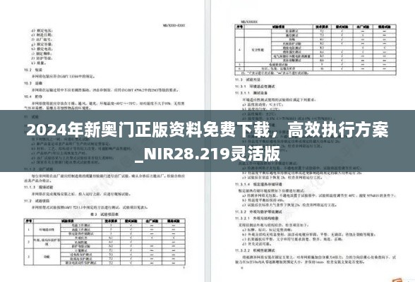 2024年新奥门正版资料免费下载，高效执行方案_NIR28.219灵活版