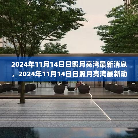 2024年11月14日日照月亮湾最新动态，海滨胜景与城市发展共舞的最新消息