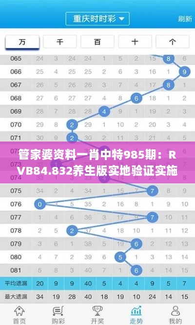 管家婆资料一肖中特985期：RVB84.832养生版实地验证实施