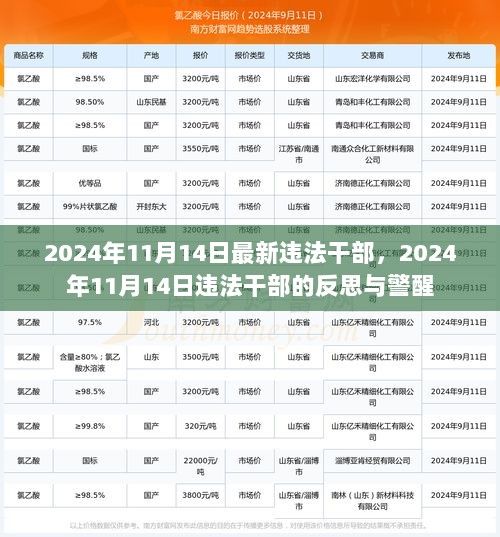 2024年11月14日违法干部的反思与警醒