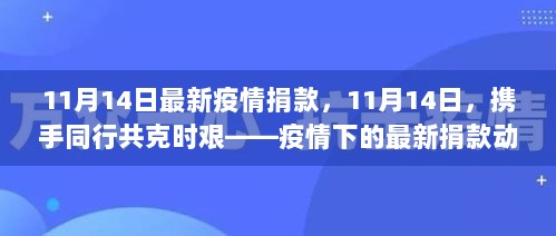 11月14日疫情捐款动态，共克时艰，爱心传递的最新进展