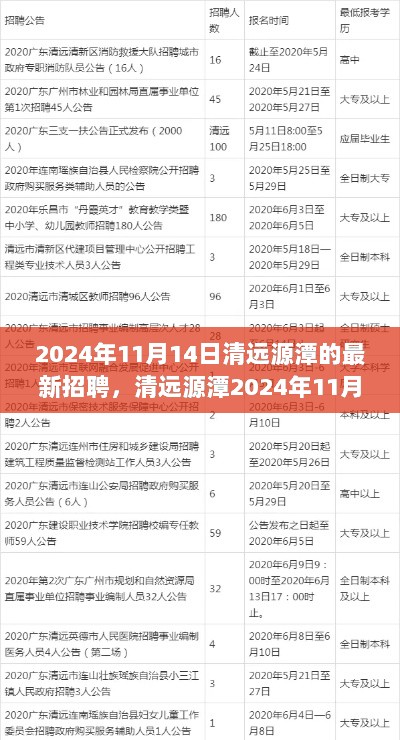 清远源潭2024年11月14日最新招聘的深度分析与思考