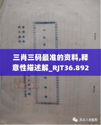 三肖三码最准的资料,释意性描述解_RJT36.892设计师版