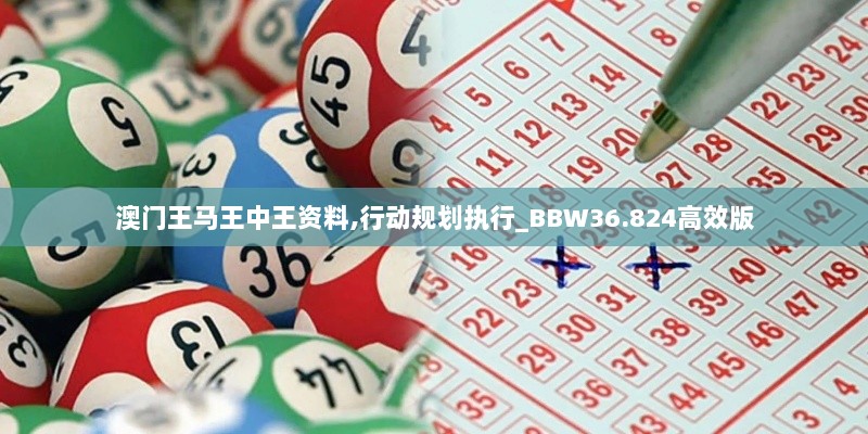 澳门王马王中王资料,行动规划执行_BBW36.824高效版