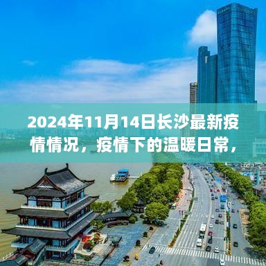 2024年11月14日长沙疫情下的温暖日常记录