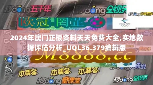 2024年澳门正板资料天天免费大全,实地数据评估分析_UQL36.379编辑版