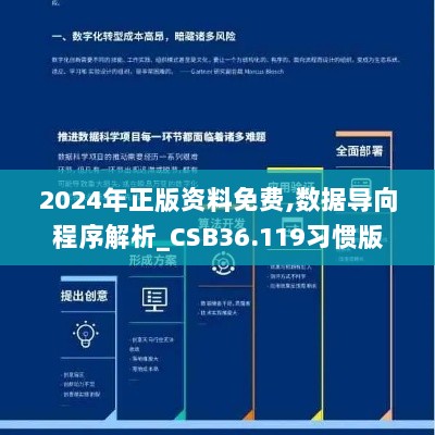 2024年正版资料免费,数据导向程序解析_CSB36.119习惯版