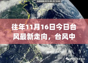 台风中的自信与成长，11月16日台风最新走向的励志启示