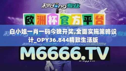 白小姐一肖一码今晚开奖,全面实施策略设计_OPY36.844精致生活版