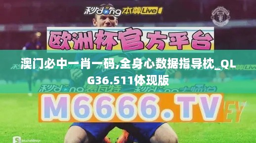 澳门必中一肖一码,全身心数据指导枕_QLG36.511体现版