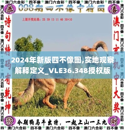 2024年新版四不像图,实地观察解释定义_VLE36.348授权版