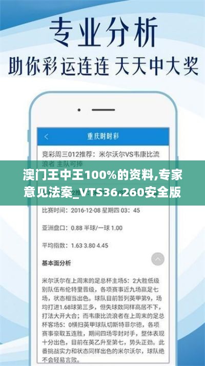 澳门王中王100%的资料,专家意见法案_VTS36.260安全版