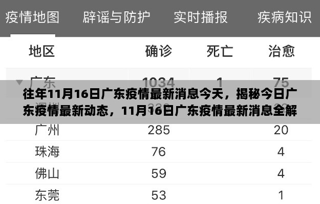 11月16日广东疫情最新消息全解析与揭秘