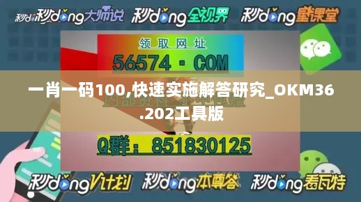 一肖一码100,快速实施解答研究_OKM36.202工具版