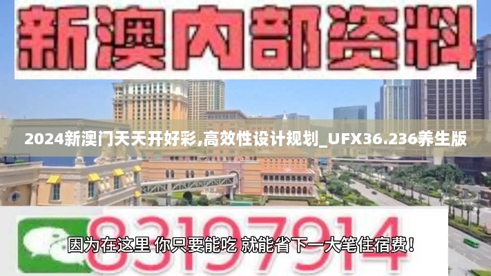 2024新澳门天天开好彩,高效性设计规划_UFX36.236养生版