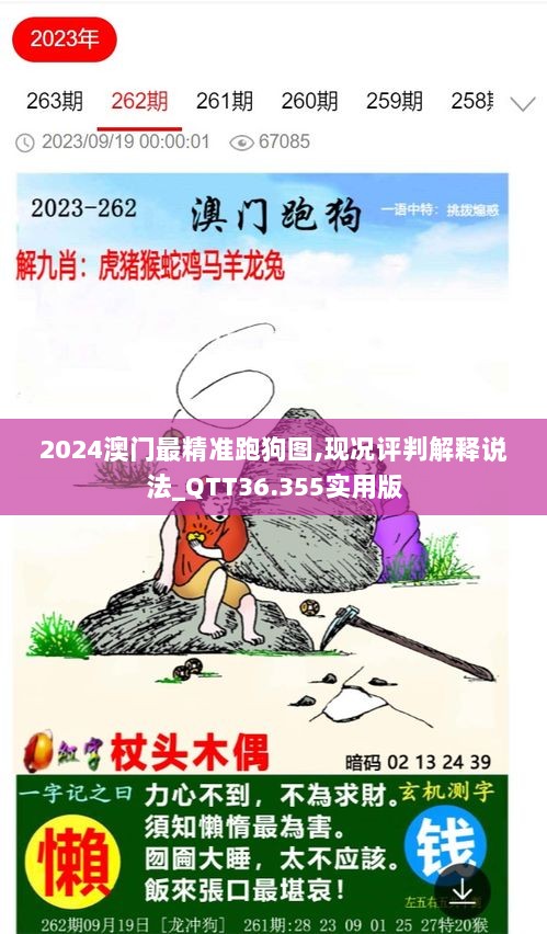 2024澳门最精准跑狗图,现况评判解释说法_QTT36.355实用版