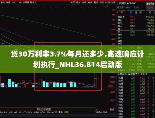 贷30万利率3.7%每月还多少,高速响应计划执行_NHL36.814启动版