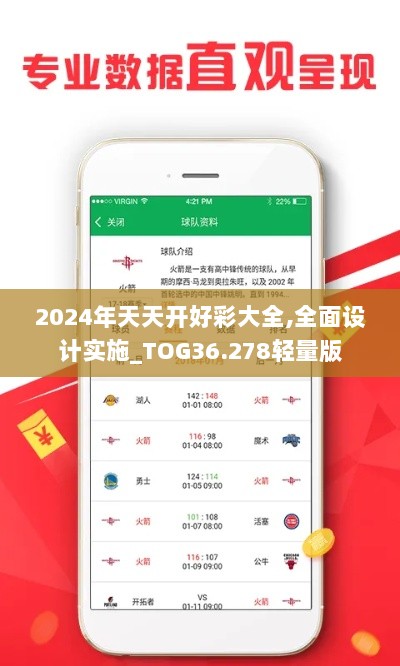 2024年天天开好彩大全,全面设计实施_TOG36.278轻量版