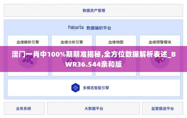 澳门一肖中100%期期准揭秘,全方位数据解析表述_BWR36.544亲和版