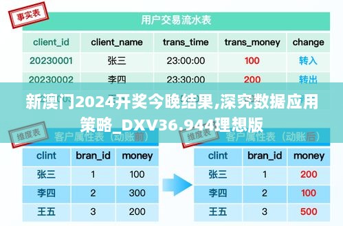 新澳门2024开奖今晚结果,深究数据应用策略_DXV36.944理想版