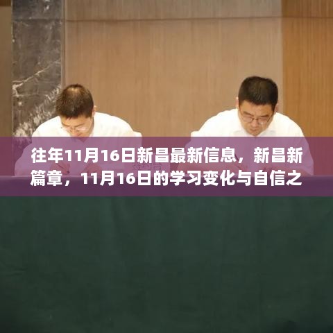 新昌新篇章，11月16日的学习变化与自信之歌