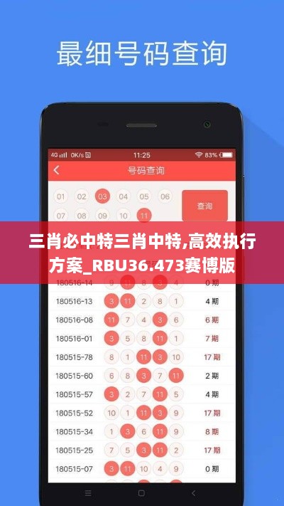 三肖必中特三肖中特,高效执行方案_RBU36.473赛博版