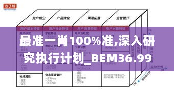 最准一肖100%准,深入研究执行计划_BEM36.997便携版