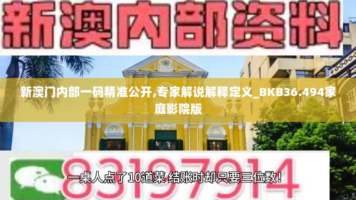 新澳门内部一码精准公开,专家解说解释定义_BKB36.494家庭影院版