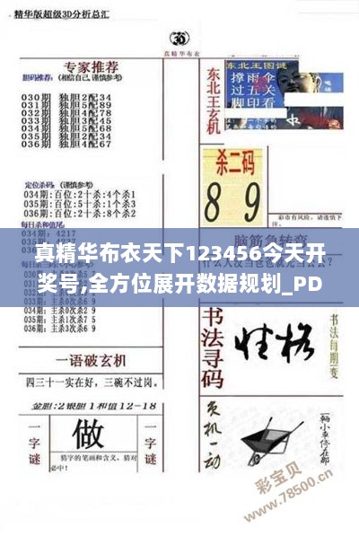 真精华布衣天下123456今天开奖号,全方位展开数据规划_PDM36.440跨界版