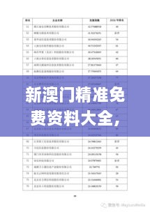 新澳门精准免费资料大全,定性解析明确评估_WYJ36.838数字处理版