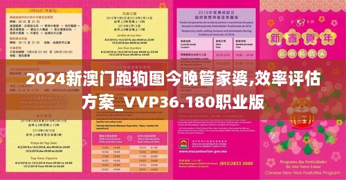 2024新澳门跑狗图今晚管家婆,效率评估方案_VVP36.180职业版