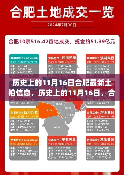 历史上的11月16日，合肥最新土拍信息揭秘土地市场新态势