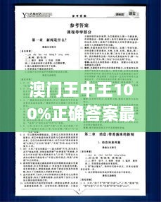 澳门王中王100%正确答案最新章节,高效计划实施_JJW36.393轻量版