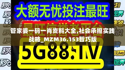 管家婆一码一肖资料大全,社会承担实践战略_MZM36.153智巧版