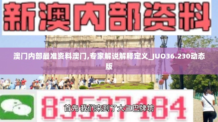 澳门内部最准资料澳门,专家解说解释定义_JUO36.230动态版