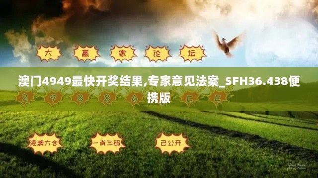 澳门4949最快开奖结果,专家意见法案_SFH36.438便携版