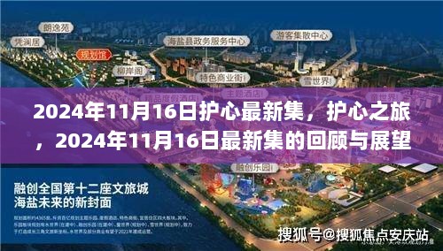 护心之旅，2024年11月16日最新集回顾与展望