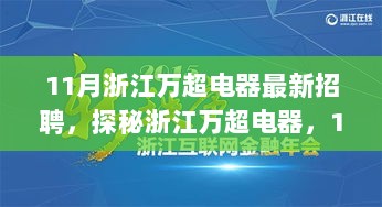 浙江万超电器11月最新招聘启幕，隐匿小巷的特色电器店等你来探秘