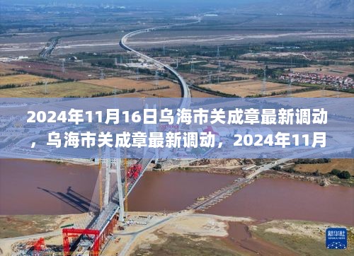 2024年11月16日乌海市关成章最新调动解析