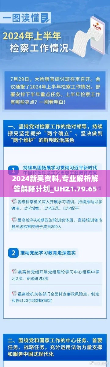 2024新奥资料,专业解析解答解释计划_UHZ1.79.65网红版